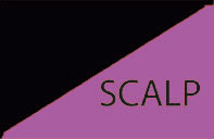 Drapeau SCALP (violet)